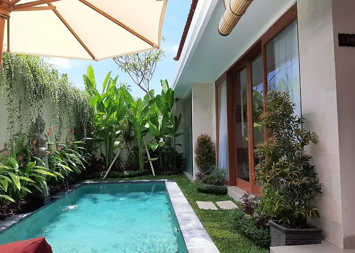 Villa The Satya