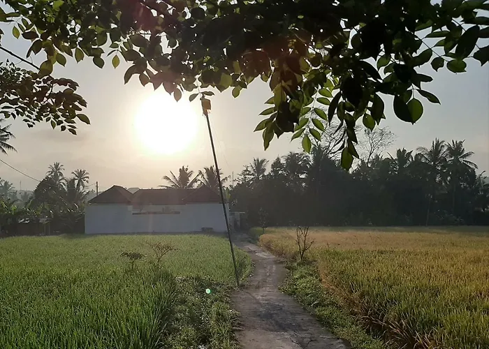 Villa The Satya