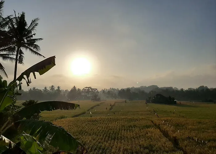 The Satya Villa Ubud (Bali)