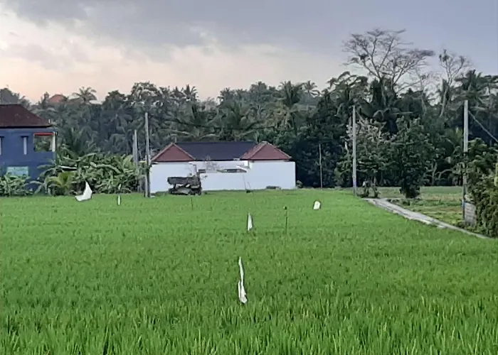 Villa The Satya *